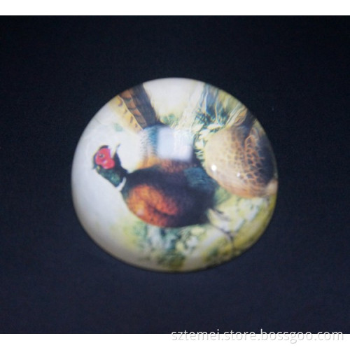 Acrylic Paperweights